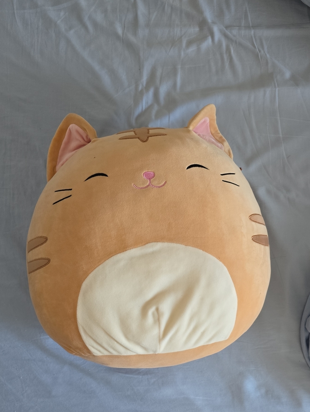 Squishmallows Tally Cat